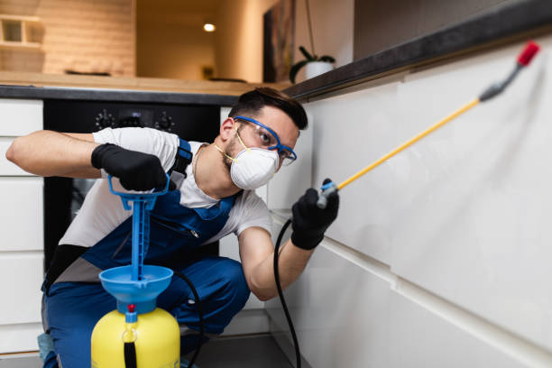 Best Rat Extermination Near Me  in Glasgow, OR