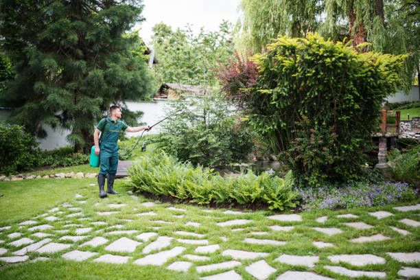 Best Local Pest Control Services  in Glasgow, OR