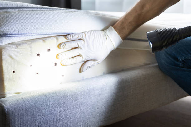 Best Affordable Pest Control Services  in Glasgow, OR