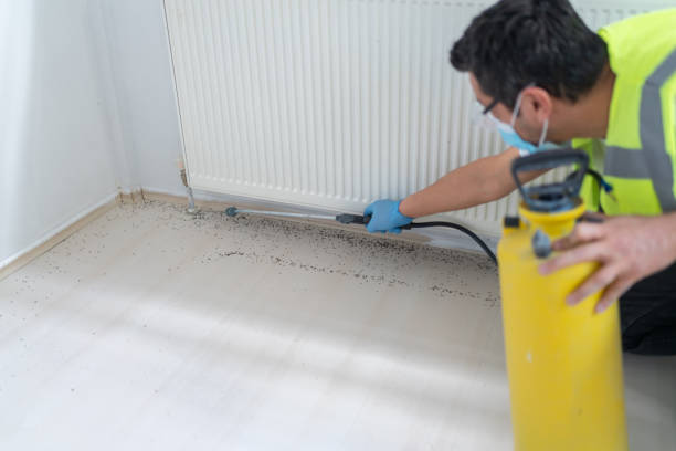 Best Termite Control Services  in Glasgow, OR